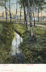 14558 Gezicht op een beekje met berkenbomen te Soest.